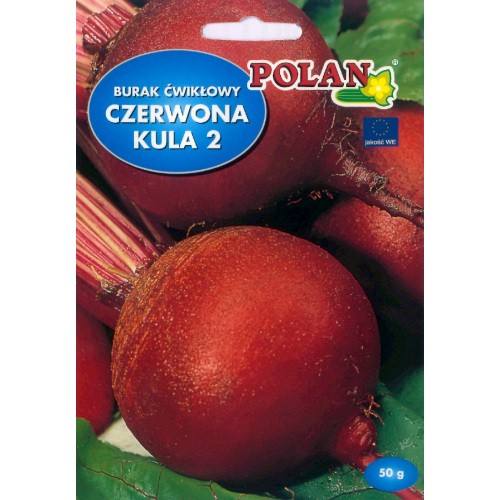 Burak Ćwikłowy Czerwona Kula REW Nasiona 10g Polan