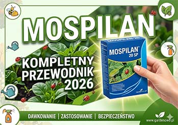 Mospilan 20 SP - dawkowanie, termin i zastosowanie