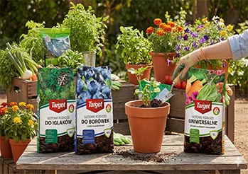 Jak wybrać idealne podłoże do roślin? Sprawdź produkty Target