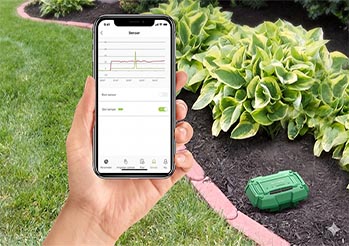 Smart Gardening 2026: Aplikacje i czujniki, które uratują rośliny
