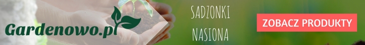 sadzonki sadzonki