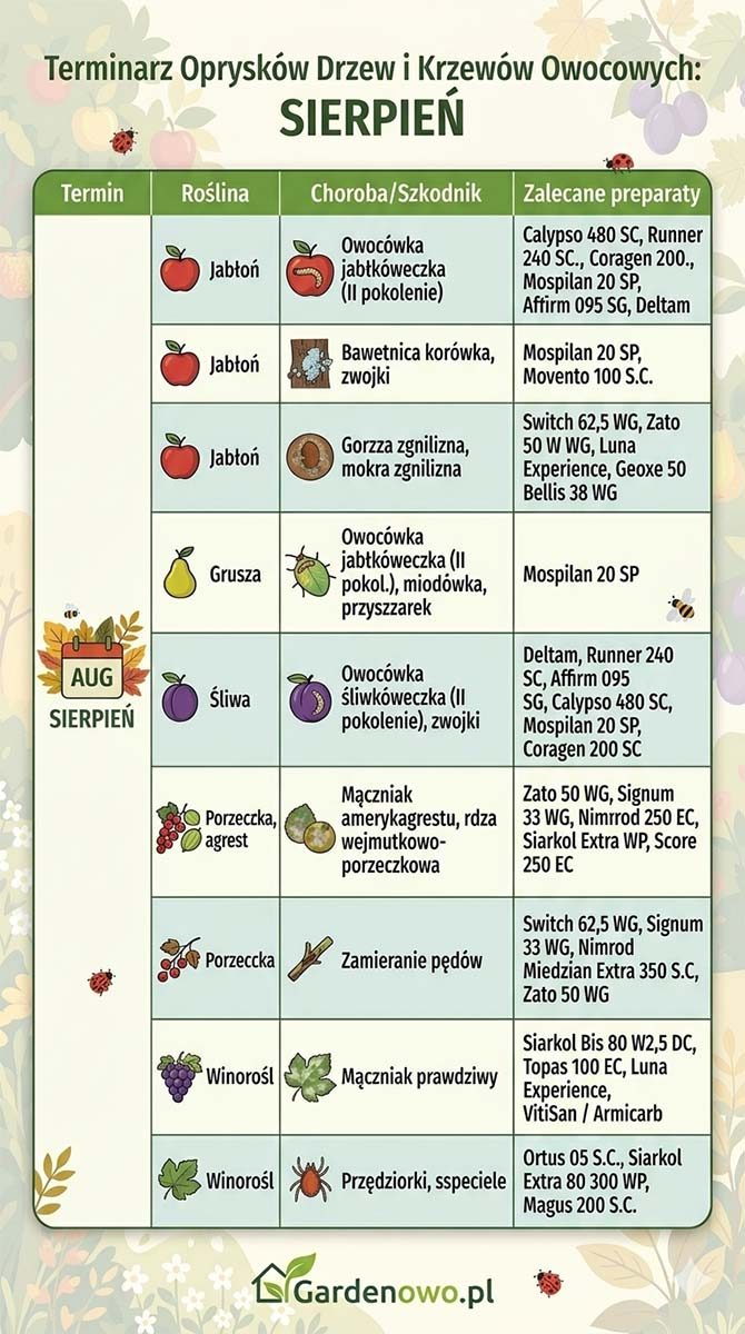 Terminarz opryskow drzew owocowych 2026 sierpien tabela Gardenowo Terminarz opryskow drzew owocowych 2026 sierpien tabela Gardenowo