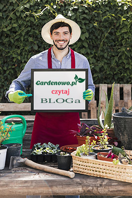 Blog Ogrodniczy gardenowo.live