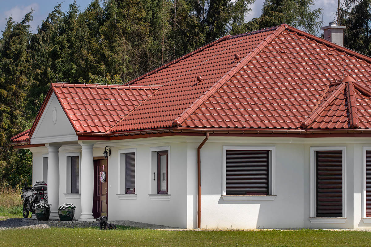 dachwoka czerwona na dachu dachwoka czerwona na dachu
