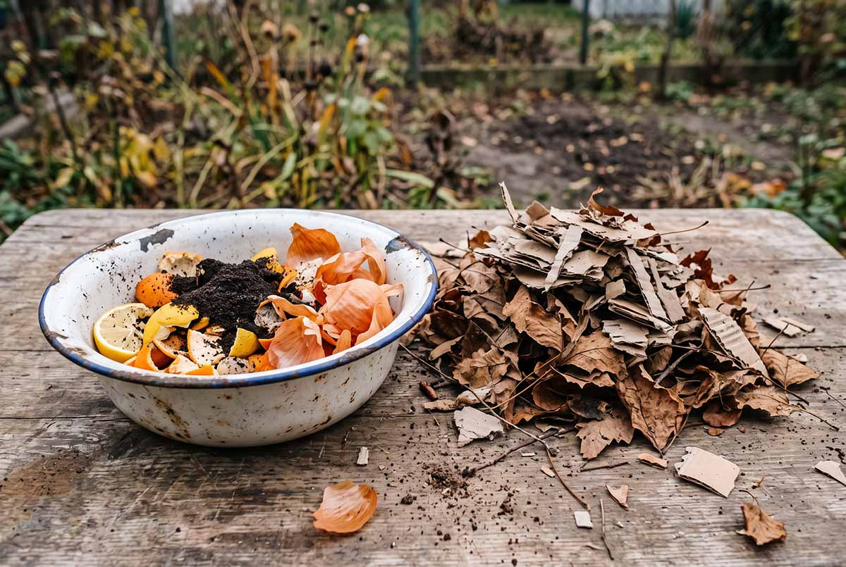 Sporne odpady kompostowe: fusy, cytrusy, cebula Fusy z kawy, skórki cytrusów i obierki cebuli przygotowane do dodania do kompostownika wraz z suchymi liśćmi
