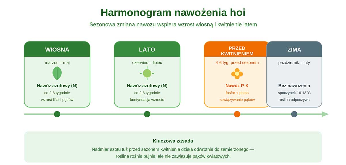 Sezonowy harmonogram nawożenia hoi harmonogram nawożenia hoi wiosną, latem i przed kwitnieniem