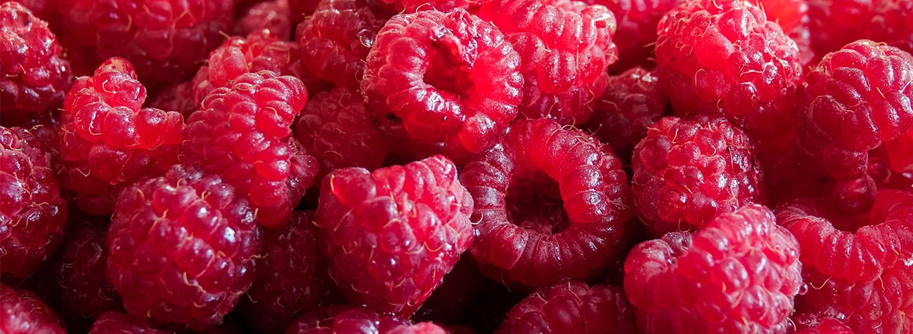 Jak przycinać maliny Jak przycinać maliny