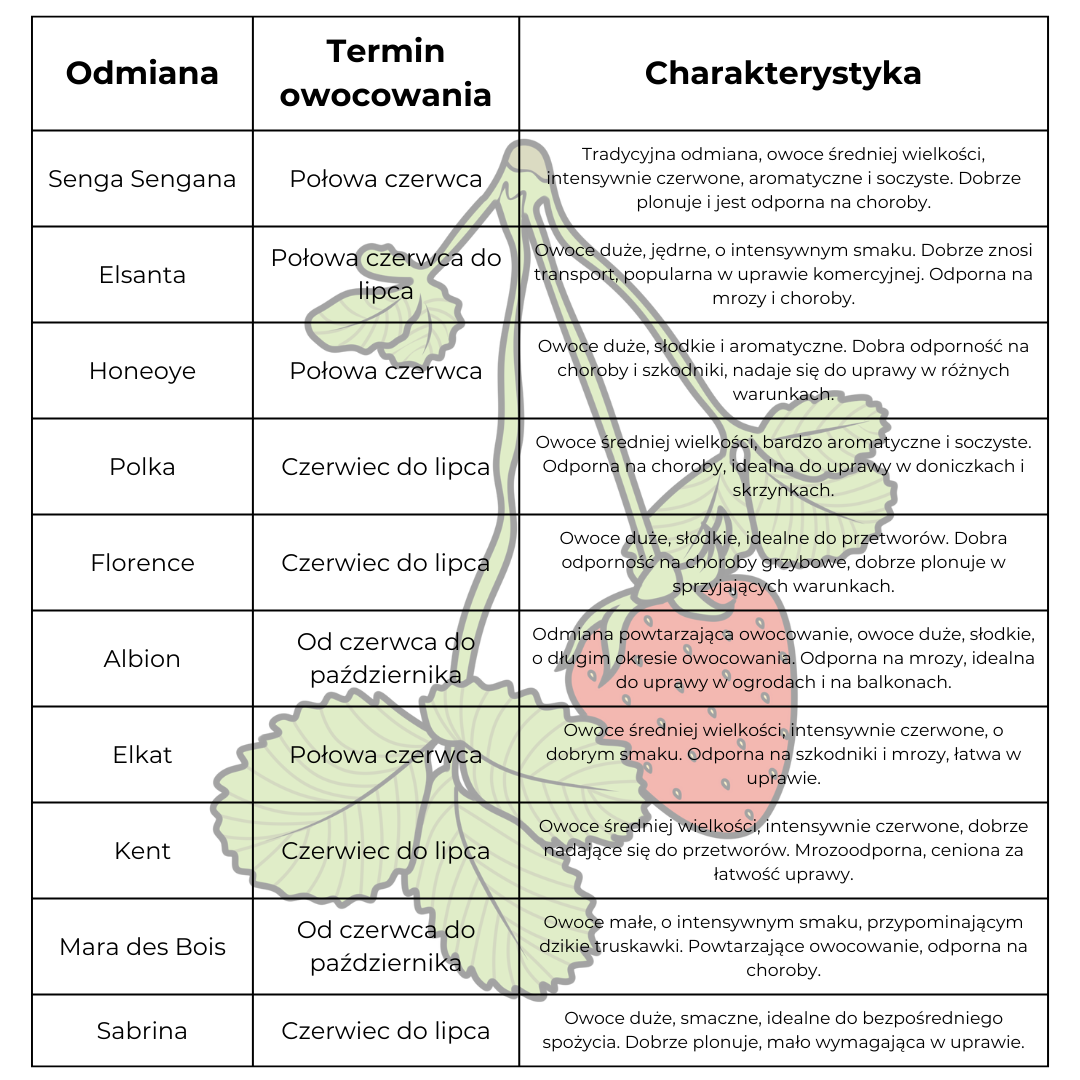odmiany truskawek tabela truskawki rodzaje odmiany truskawek tabela truskawki rodzaje