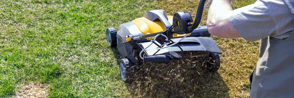 pozbywanie się mchu z trawnika aerator na trawniku usuwa mech