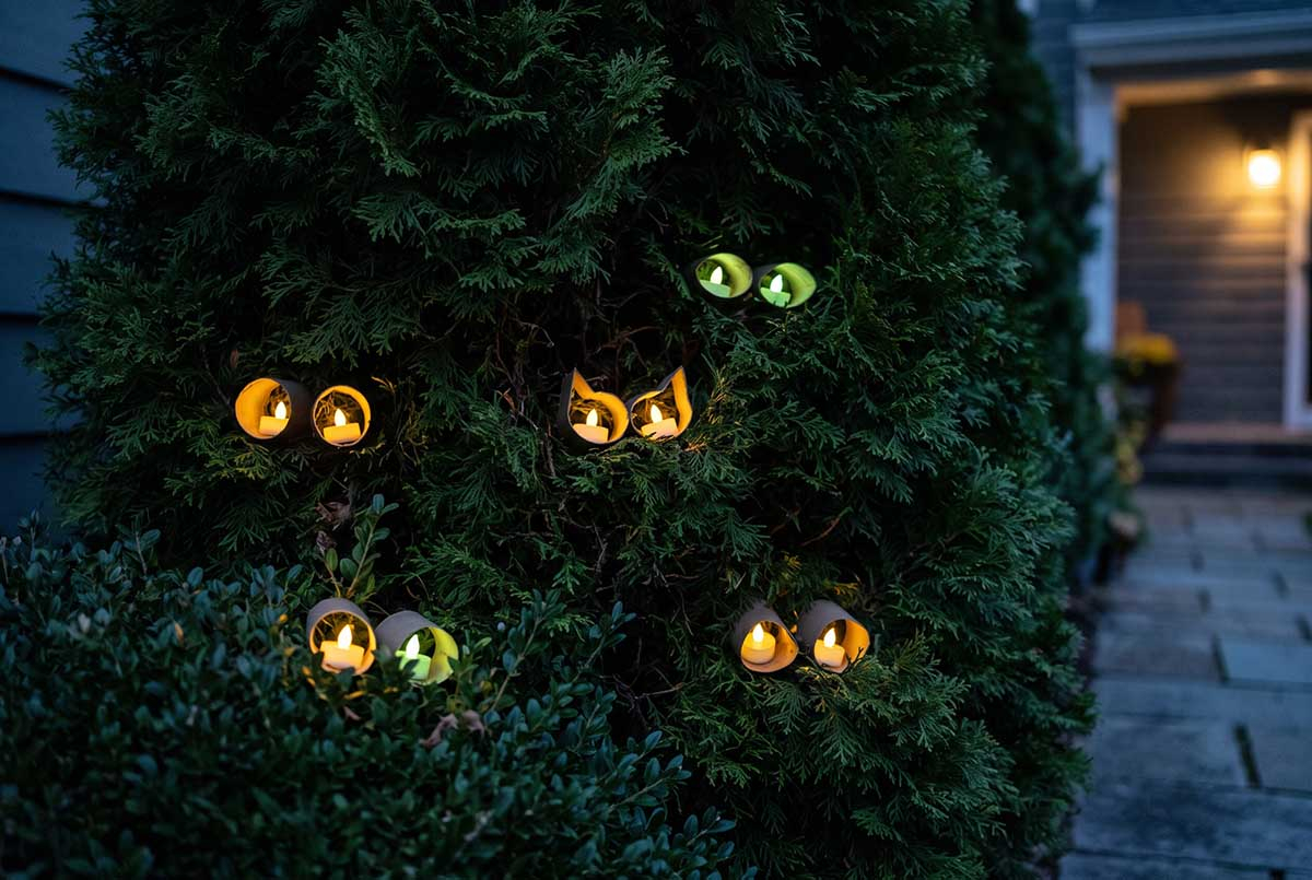 Świecące oczy w krzewach na Halloween - dekoracja z rolek po papierze Żółte i zielone świecące oczy z rolek po papierze ukryte w żywopłocie z tui przy drzwiach wejściowych wieczorem