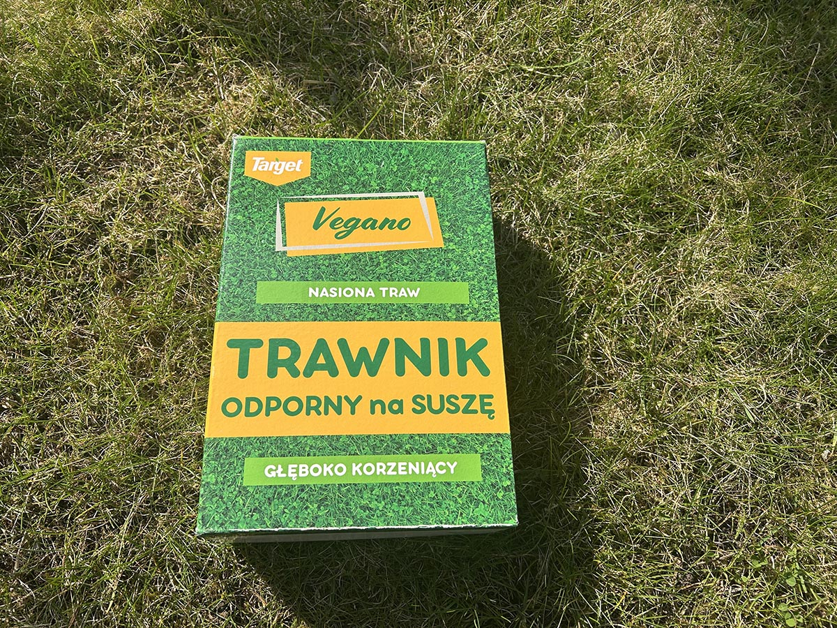 nasiona trawy odporne na suszę