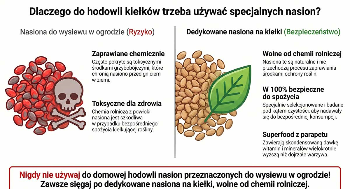 Dlaczego do hodowli kiełków trzeba używać specjalnych nasion? Infografika porównująca dwa rodzaje nasion. Po lewej czerwone, zaprawiane chemicznie nasiona do gruntu z symbolem ostrzegawczym (czaszka). Po prawej naturalne, brązowe nasiona z zielonym listkiem z napisem "Nasiona na kiełki - w 100% bezpieczne do spożycia".